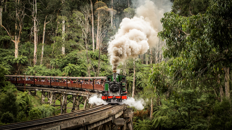 Puffing Billy Kahla Webb